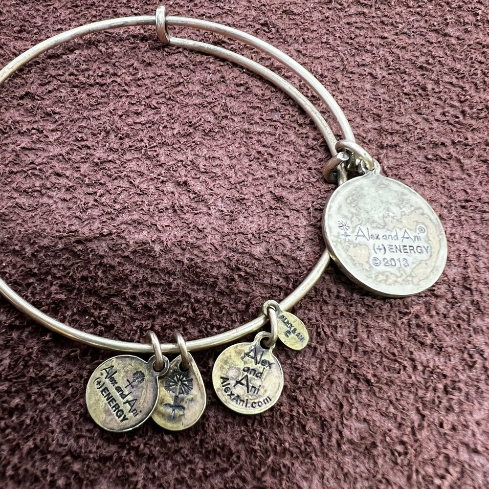 Alex and Ani Brass Bangle Fashion Bracelet - Picture 4 of 5